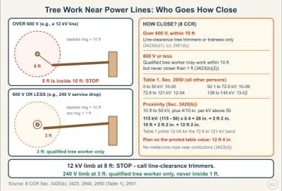Lesson diagram: Tree Work Near Power Lines: The 10-Foot Rule and Who May Cross It